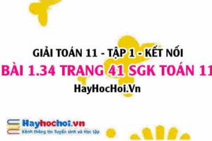 Giải bài 1.34 trang 41 Toán 11 tập 1 SGK Kết nối tri thức